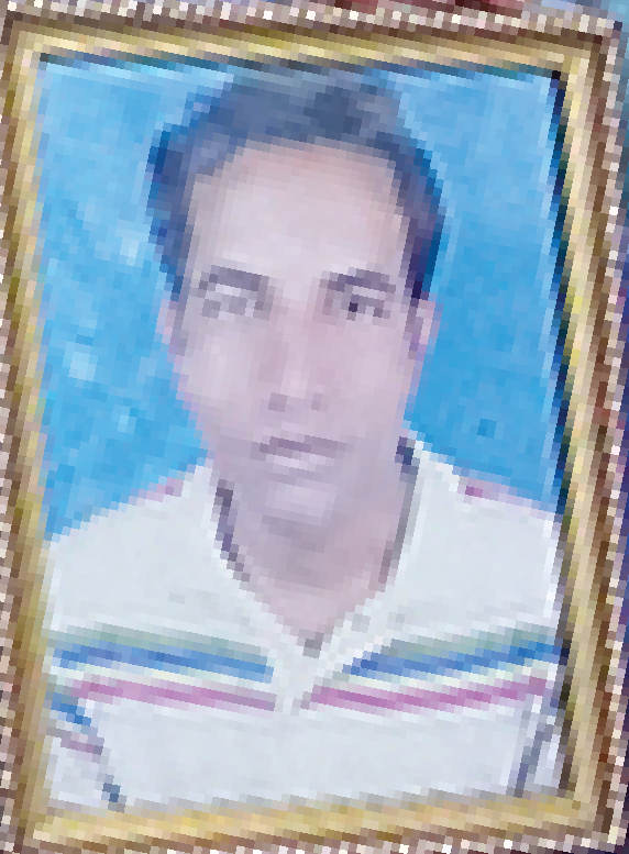 Photo of সুরুজ আলী (বাবু মিয়া)